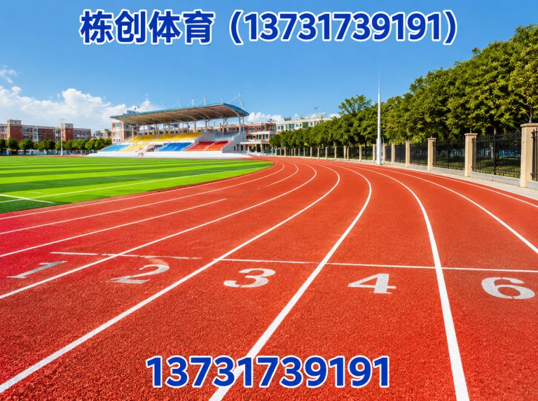 沧州渤海新区栋创体育展示图
